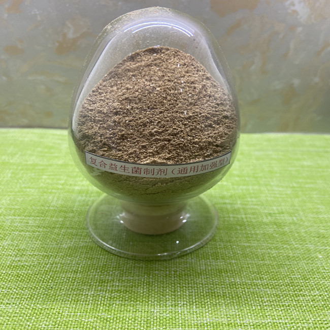 改良された複合プロバイオティクス B. nattoの培養による飼料添加物 0