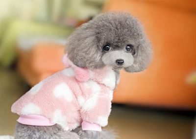 マルチビタミンのサプリメント 多機能タブレット 猫や犬 天然免疫力 支持と犬のアレルギー緩和 2