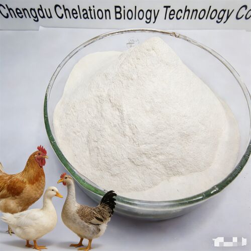 Latest company news about 有機タンパク質キレート鉄 20% |高効率家禽飼料添加物