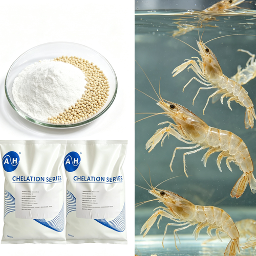 Latest company news about 有機マグネシウム源を使用した水産養殖飼料の微量ミネラル要件の管理